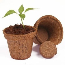 Vaso Coco Coir Fibra di Cocco