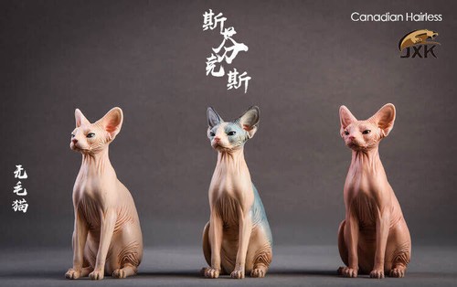 Jxk gatto canadese senza pelo - senza,