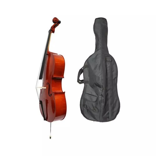 Luthier violoncello student - luthier,