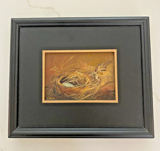 Quadro Nido Uccellino