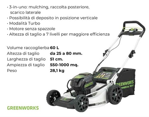 Rasaerba elettrico greenworks - rasaerba,