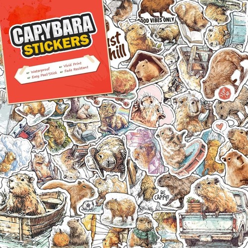 Confezione adesivi capybara - adesivi,