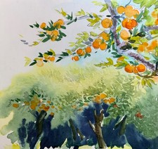 Quadro acquerello originale «
