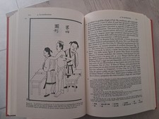 Aghi Celesti Storia e Fondamenti Razionali Dell'agopuntura E Della Maxibustione