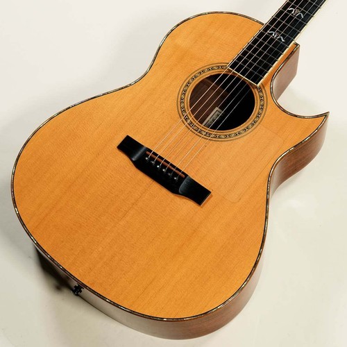 Larrivee 1993 tiger - 1993,
