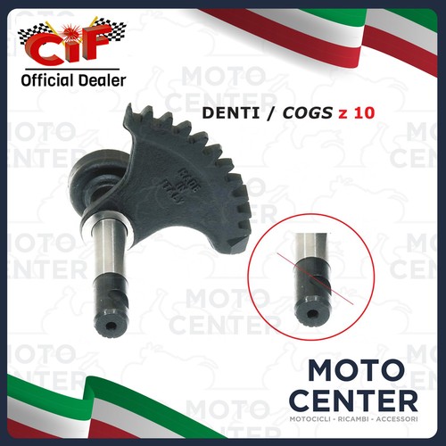 Settore messa moto - settore,