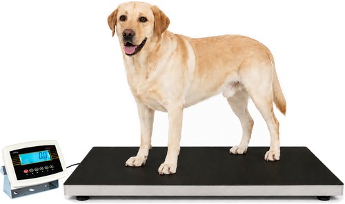 Bilancia per cani 300 - , kg