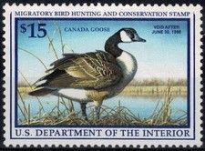 1997 STATI UNITI USA PERMESSO DI CACCIA - ANATRA CANADA GOOSE - 1 V. MNH MF10408