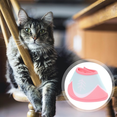 Cono gatto protezione - cono,