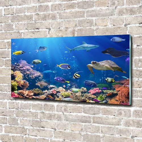Quadro vetro quadri - in,