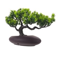  Bonsai artificiale: piante