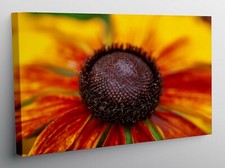 QUADRO MODERNO STAMPA TELA MODERNI QUADRI ASTRATTO FIORE FIORI  T451