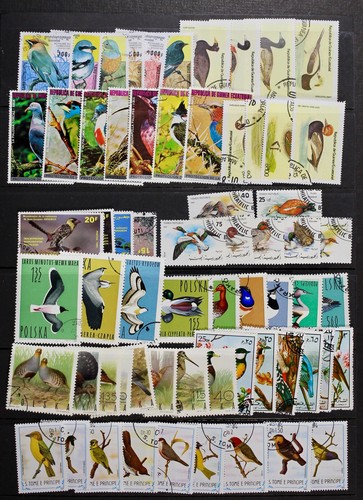 Birds meravigliosa collezione - birds,