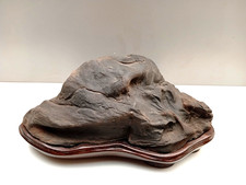 Suiseki di Arenaria con daiza