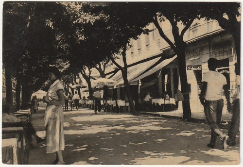 Grado gorizia viale - -,