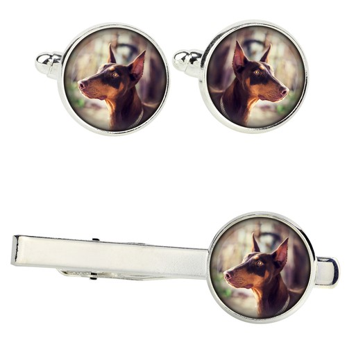 Dobermann set with - clips, a