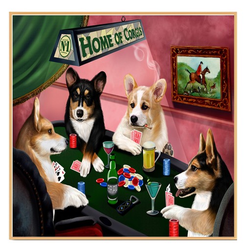 Home corgi dogs playing - of,
