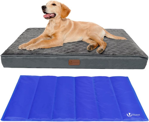 Letto per cani ortopedico - letto,