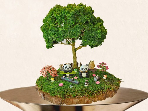 Bonsai fatto mano mini - fatto, a