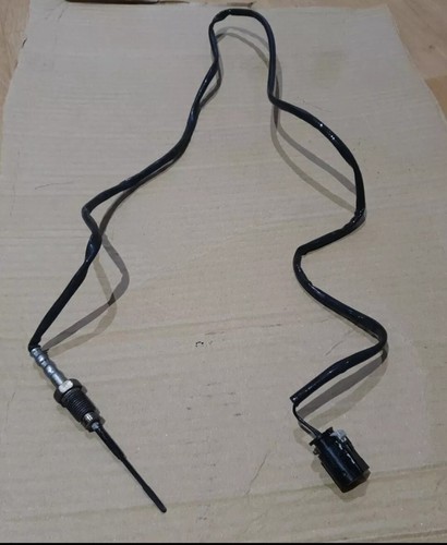 Sensore temperatura dpf - sensore,