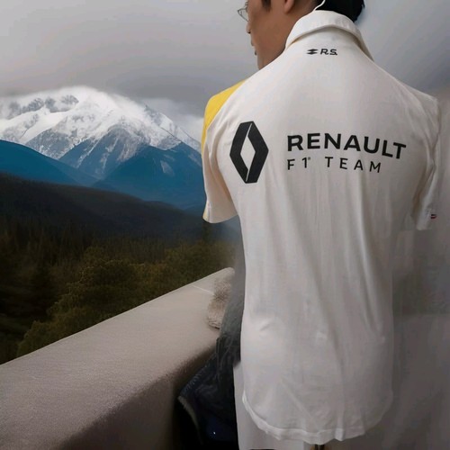 Polo renault team racing - polo,