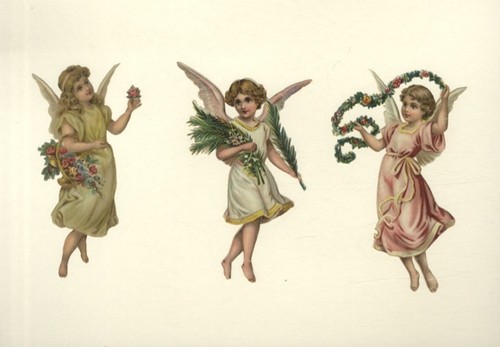 Cialde angelo con tralci di - con,