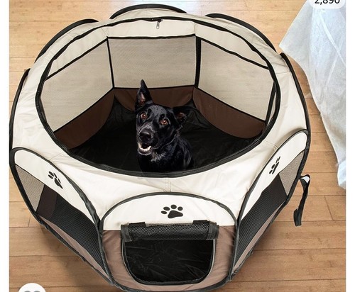 Box pieghevole per cane - , gatto