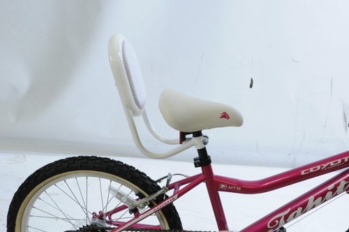Bicicletta trike più sicura - bicicletta,