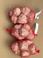 BULBI AGLIO ROSSO O BIANCO DA SEME SPAGNA GIGANTE