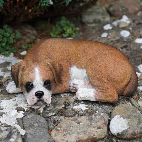 Sleeping boxer scultura - sleeping, in