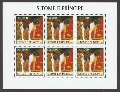 Toy fox terrier collezione - terrier, **