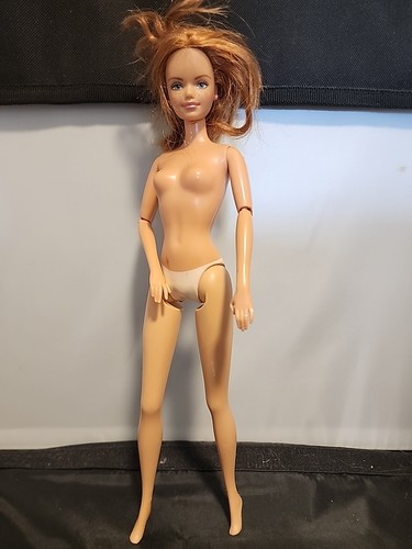 Barbie happy family pregnant - happy,