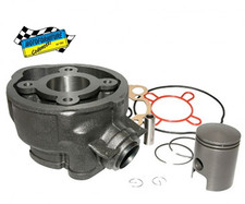 Cilindro completo sgr 95011000 - completo,