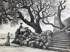 ANTICA ROMA-QUERCIA DEL TASSO