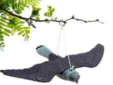 Falco Finto Spaventapasseri Dissuasore Statua Spaventa Scaccia Piccioni Uccelli