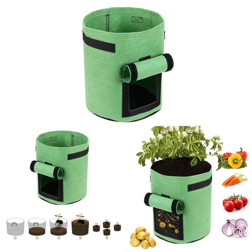Borsa coltivazione patate - borsa,