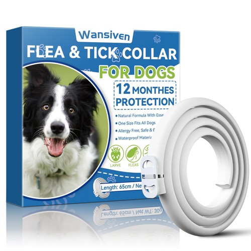 Collare antipulci per cani - antipulci,