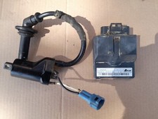 Centralina  Husqvarna  310