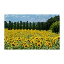 Quadro termico pannello cristalli infrarossi stufa a parete 450W salotto 00408