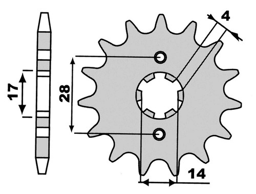 Pignone catena 420 - ,