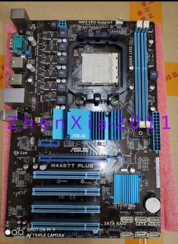 1pz scheda madre asus - scheda,