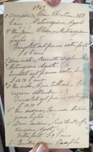 Lettere acquisto piante - lettere, e