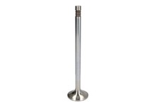 Exhaust valve for SCANIA DC 13