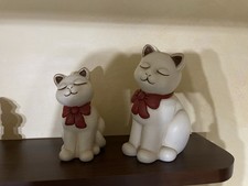 Set gatti thun fuori