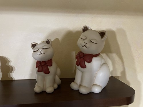 Set gatti thun fuori