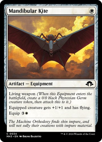 Foil aquilone mandibolare - nm,