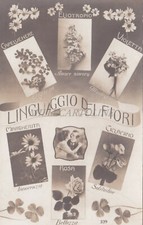 LINGUAGGIO DEI FIORI - Capelvenere, Eliotropio, Violetta, Margherita, Rosa