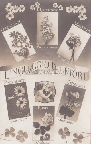 Linguaggio dei fiori - dei,