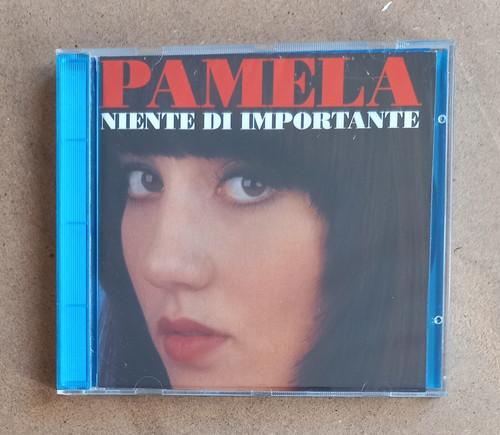 Pamela petrarolo niente di - pamela,