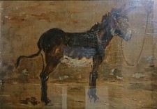 Giovanni LOMI, asino, asinello, olio su tela, cm. 32,5 x 23 (cm. 52 x 43)